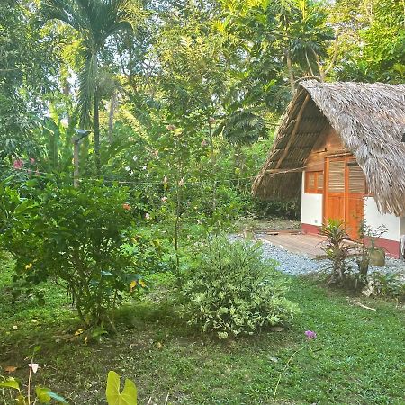 Capurganá Cabanas Tucan Eco Hotel المظهر الخارجي الصورة
