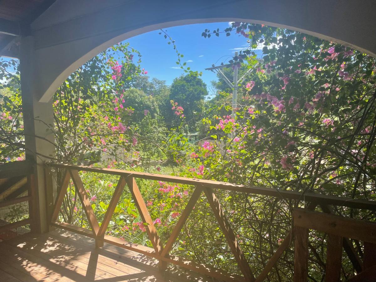 Capurganá Cabanas Tucan Eco Hotel المظهر الخارجي الصورة