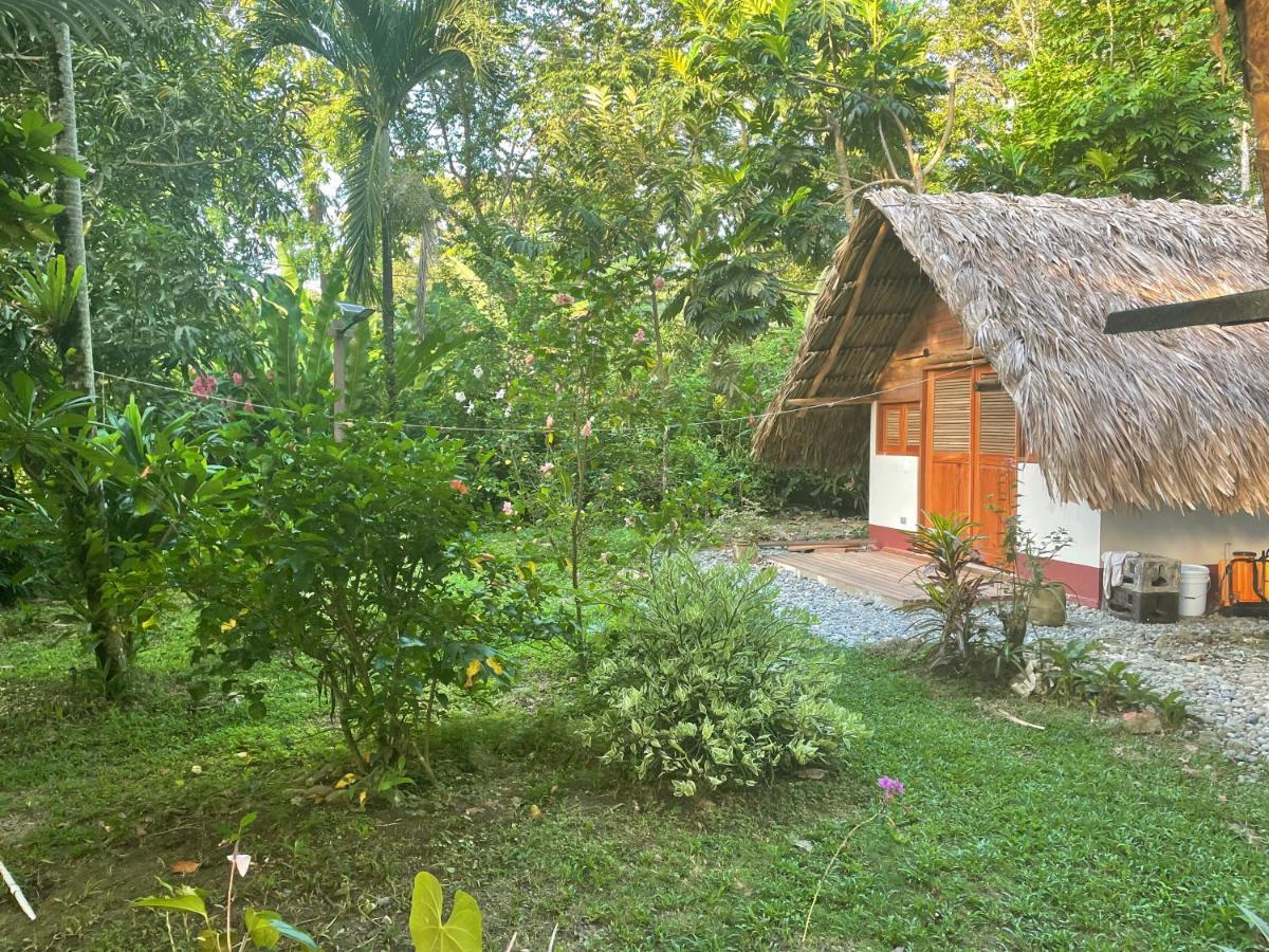 Capurganá Cabanas Tucan Eco Hotel المظهر الخارجي الصورة