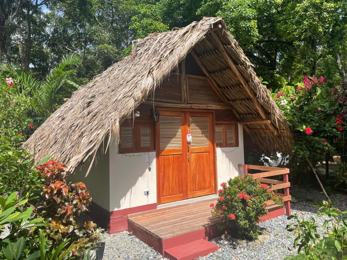 Capurganá Cabanas Tucan Eco Hotel المظهر الخارجي الصورة