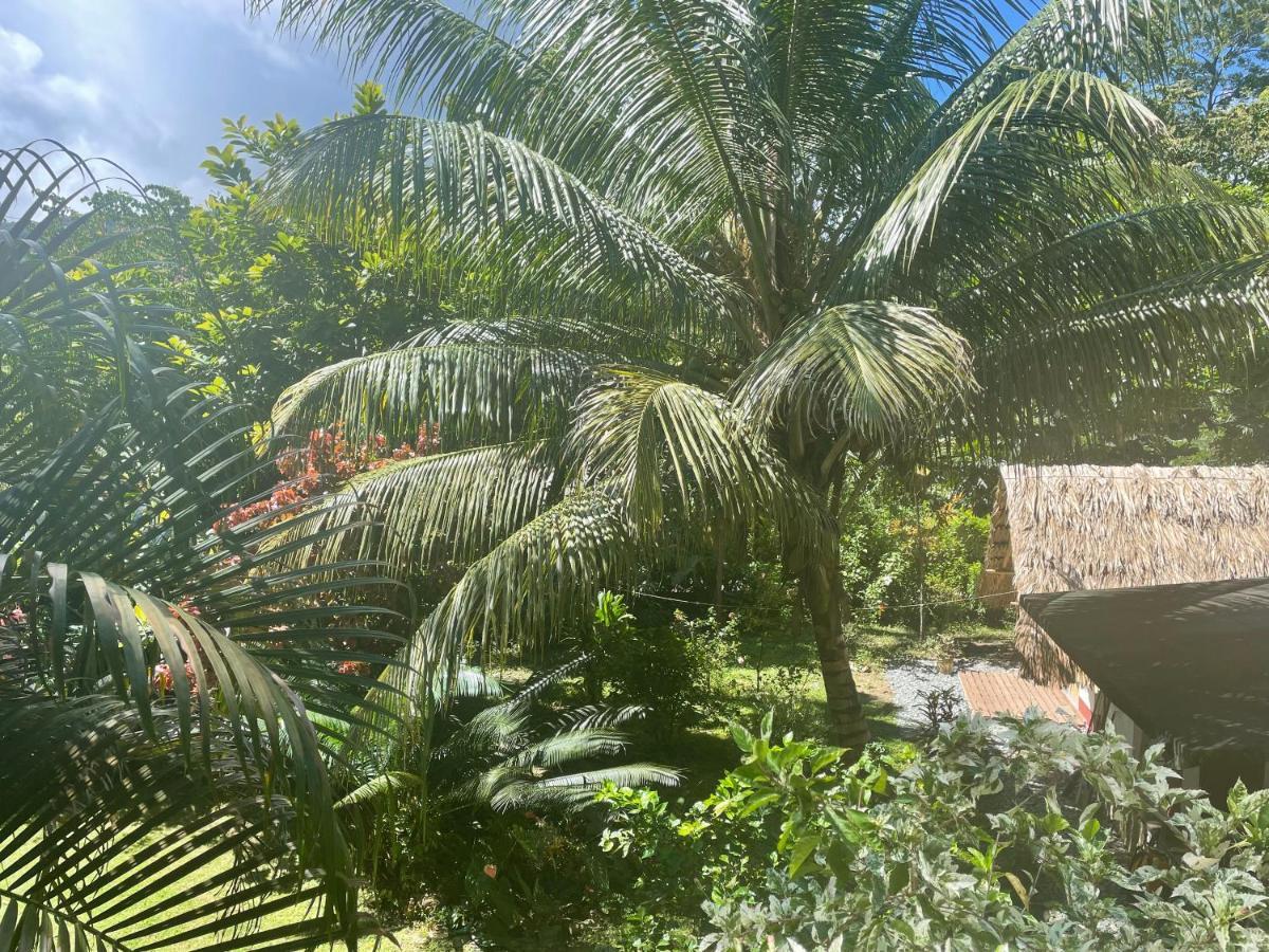 Capurganá Cabanas Tucan Eco Hotel المظهر الخارجي الصورة