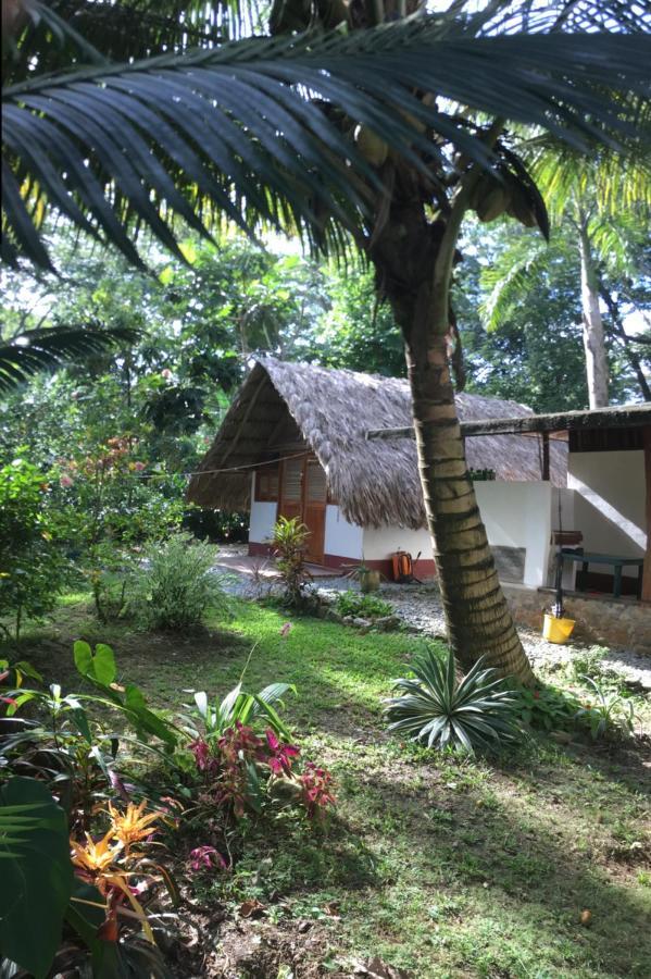 Capurganá Cabanas Tucan Eco Hotel المظهر الخارجي الصورة